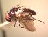  ( - BUIC-AK180)  @12 [ ] Unspecified (default): All Rights Reserved  Unspecified Unspecified