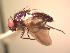  ( - BUIC-AK180)  @13 [ ] Unspecified (default): All Rights Reserved  Unspecified Unspecified