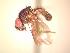  ( - BUIC-AK184)  @12 [ ] Unspecified (default): All Rights Reserved  Unspecified Unspecified