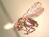  ( - BUIC-AK190)  @13 [ ] Unspecified (default): All Rights Reserved  Unspecified Unspecified