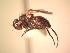  ( - BUIC-AK191)  @13 [ ] Unspecified (default): All Rights Reserved  Unspecified Unspecified
