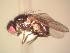  ( - BUIC-AK192)  @13 [ ] Unspecified (default): All Rights Reserved  Unspecified Unspecified