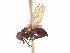  ( - BUIC-AK193)  @12 [ ] Unspecified (default): All Rights Reserved  Unspecified Unspecified