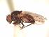  ( - BUIC-AK194)  @13 [ ] Unspecified (default): All Rights Reserved  Unspecified Unspecified