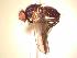  ( - BUIC-AK195)  @13 [ ] Unspecified (default): All Rights Reserved  Unspecified Unspecified