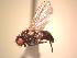  ( - BUIC-AK197)  @13 [ ] Unspecified (default): All Rights Reserved  Unspecified Unspecified