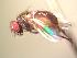  ( - BUIC-AK201)  @12 [ ] Unspecified (default): All Rights Reserved  Unspecified Unspecified