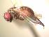  ( - BUIC-AK201)  @13 [ ] Unspecified (default): All Rights Reserved  Unspecified Unspecified