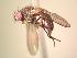  ( - BUIC-AK202)  @13 [ ] Unspecified (default): All Rights Reserved  Unspecified Unspecified