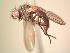  ( - BUIC-AK202)  @13 [ ] Unspecified (default): All Rights Reserved  Unspecified Unspecified