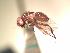  ( - BUIC-AK203)  @12 [ ] Unspecified (default): All Rights Reserved  Unspecified Unspecified