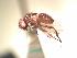  ( - BUIC-AK203)  @13 [ ] Unspecified (default): All Rights Reserved  Unspecified Unspecified