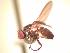  ( - BUIC-AK204)  @13 [ ] Unspecified (default): All Rights Reserved  Unspecified Unspecified
