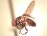  ( - BUIC-AK204)  @12 [ ] Unspecified (default): All Rights Reserved  Unspecified Unspecified