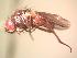  ( - BUIC-AK206)  @13 [ ] Unspecified (default): All Rights Reserved  Unspecified Unspecified