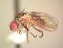  ( - BUIC-AK214)  @13 [ ] Unspecified (default): All Rights Reserved  Unspecified Unspecified