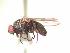  ( - BUIC-AK226)  @12 [ ] Unspecified (default): All Rights Reserved  Unspecified Unspecified