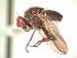 ( - BUIC-AK230)  @12 [ ] Unspecified (default): All Rights Reserved  Unspecified Unspecified