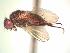  ( - BUIC-AK231)  @13 [ ] Unspecified (default): All Rights Reserved  Unspecified Unspecified