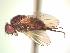  ( - BUIC-AK231)  @12 [ ] Unspecified (default): All Rights Reserved  Unspecified Unspecified