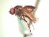  ( - BUIC-AK232)  @12 [ ] Unspecified (default): All Rights Reserved  Unspecified Unspecified
