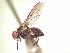  ( - BUIC-AK233)  @13 [ ] Unspecified (default): All Rights Reserved  Unspecified Unspecified