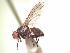  ( - BUIC-AK233)  @12 [ ] Unspecified (default): All Rights Reserved  Unspecified Unspecified