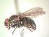  ( - BUIC-AK235)  @13 [ ] Unspecified (default): All Rights Reserved  Unspecified Unspecified