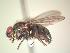 ( - BUIC-AK235)  @13 [ ] Unspecified (default): All Rights Reserved  Unspecified Unspecified