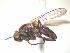  ( - BUIC-AK237)  @13 [ ] Unspecified (default): All Rights Reserved  Unspecified Unspecified