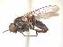  ( - BUIC-AK237)  @13 [ ] Unspecified (default): All Rights Reserved  Unspecified Unspecified