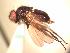  ( - BUIC-AK240)  @13 [ ] Unspecified (default): All Rights Reserved  Unspecified Unspecified