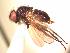  ( - BUIC-AK240)  @13 [ ] Unspecified (default): All Rights Reserved  Unspecified Unspecified