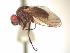  ( - BUIC-AK243)  @13 [ ] Unspecified (default): All Rights Reserved  Unspecified Unspecified