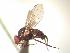  ( - BUIC-AK244)  @13 [ ] Unspecified (default): All Rights Reserved  Unspecified Unspecified