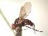  ( - BUIC-AK244)  @13 [ ] Unspecified (default): All Rights Reserved  Unspecified Unspecified