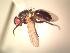  ( - BUIC-AK252)  @13 [ ] Unspecified (default): All Rights Reserved  Unspecified Unspecified