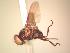  ( - BUIC-AK253)  @13 [ ] Unspecified (default): All Rights Reserved  Unspecified Unspecified