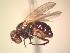  ( - BUIC-AK254)  @13 [ ] Unspecified (default): All Rights Reserved  Unspecified Unspecified