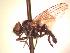  ( - BUIC-AK255)  @13 [ ] Unspecified (default): All Rights Reserved  Unspecified Unspecified