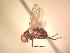  ( - BUIC-AK261)  @13 [ ] Unspecified (default): All Rights Reserved  Unspecified Unspecified