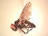  ( - BUIC-AK262)  @13 [ ] Unspecified (default): All Rights Reserved  Unspecified Unspecified