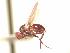  ( - BUIC-AK265)  @12 [ ] Unspecified (default): All Rights Reserved  Unspecified Unspecified