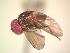 ( - BUIC-AK278)  @13 [ ] Unspecified (default): All Rights Reserved  Unspecified Unspecified