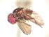  ( - BUIC-AK278)  @12 [ ] Unspecified (default): All Rights Reserved  Unspecified Unspecified