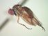  ( - BUIC-CHU0050)  @13 [ ] Unspecified (default): All Rights Reserved  Unspecified Unspecified