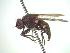  ( - BUIC-CHU0100)  @12 [ ] Unspecified (default): All Rights Reserved  Unspecified Unspecified