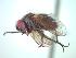  ( - BUIC-CHU0284)  @12 [ ] Unspecified (default): All Rights Reserved  Unspecified Unspecified