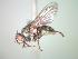  ( - BUIC-CHU0534)  @13 [ ] Unspecified (default): All Rights Reserved  Unspecified Unspecified