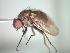  ( - BUIC-CHU0535)  @13 [ ] Unspecified (default): All Rights Reserved  Unspecified Unspecified